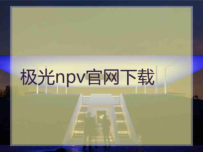 极光npv官网下载