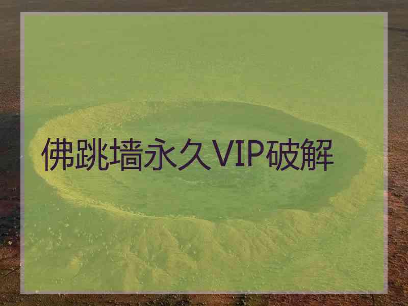 佛跳墙永久VIP破解