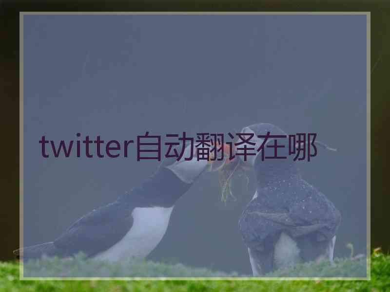 twitter自动翻译在哪