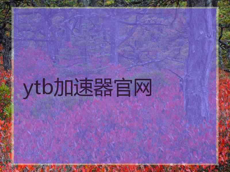 ytb加速器官网