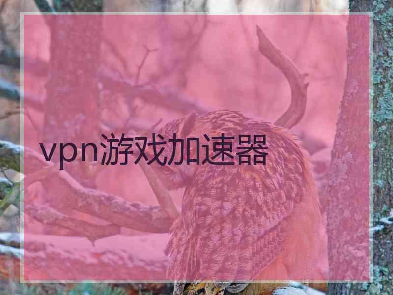 vpn游戏加速器