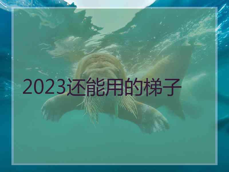 2023还能用的梯子