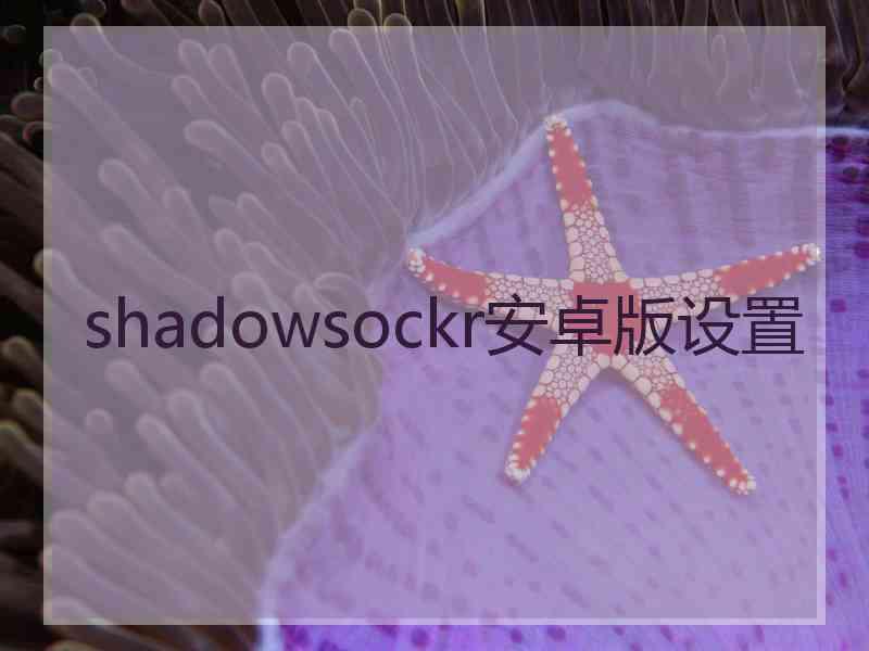 shadowsockr安卓版设置