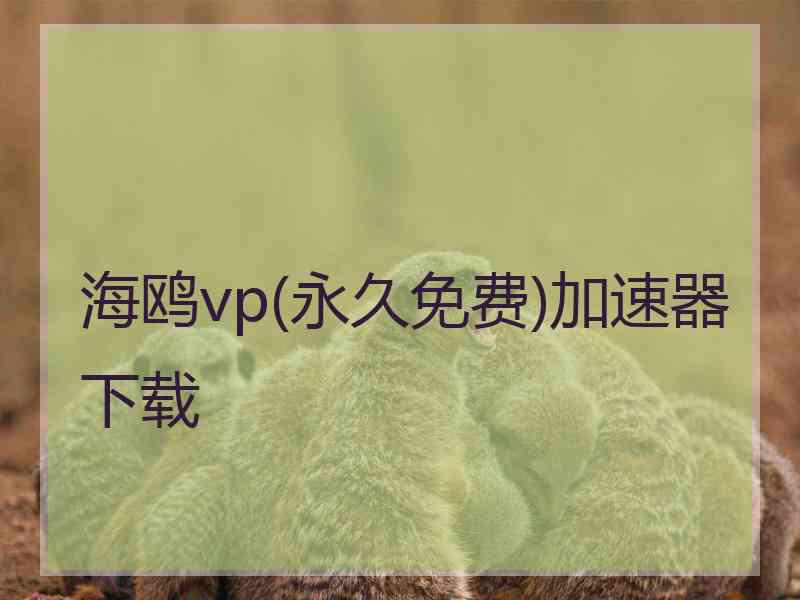 海鸥vp(永久免费)加速器下载