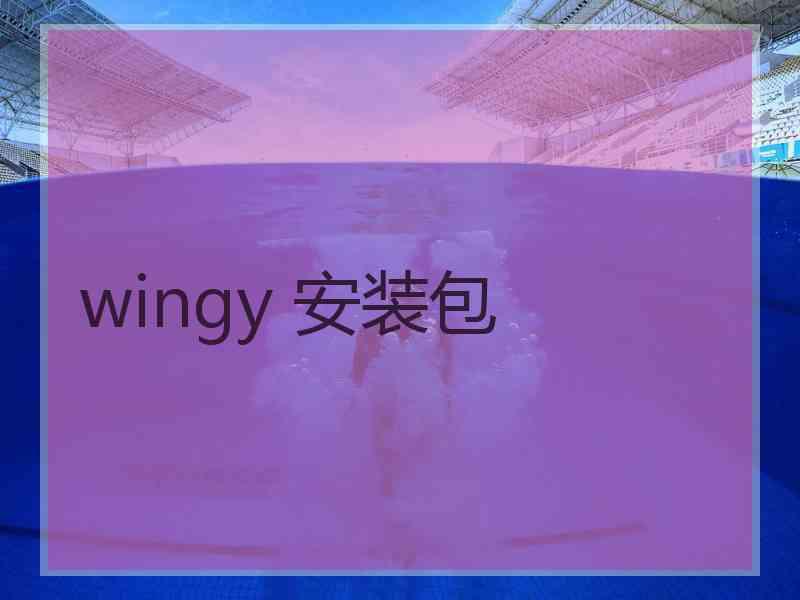 wingy 安装包