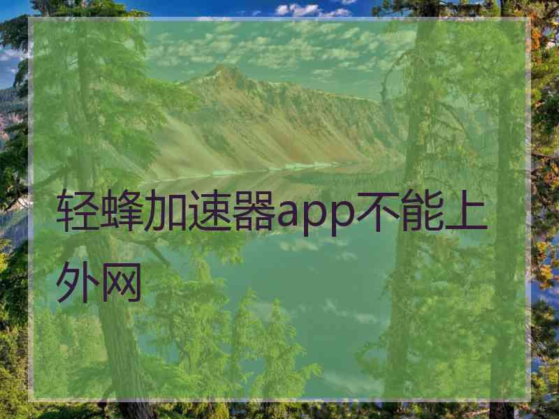 轻蜂加速器app不能上外网