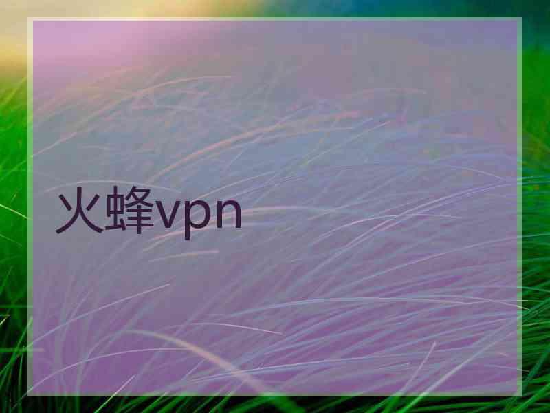 火蜂vpn