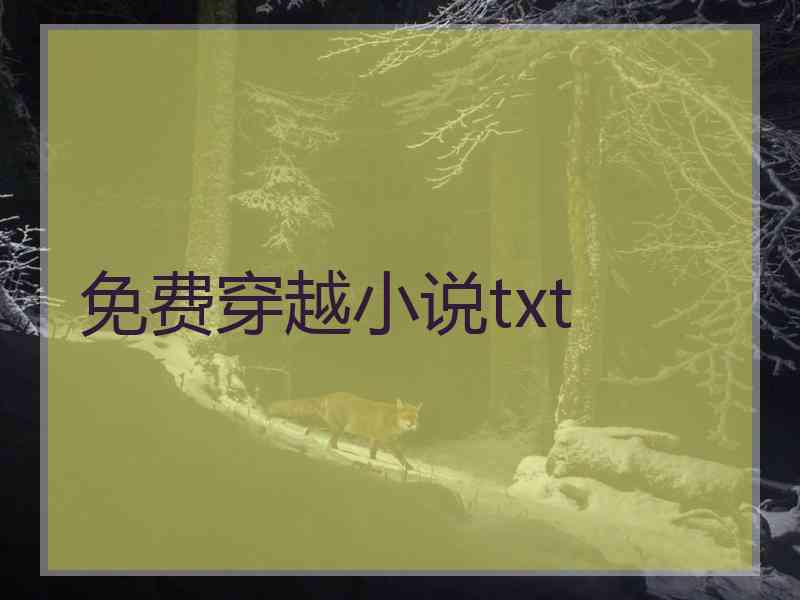 免费穿越小说txt