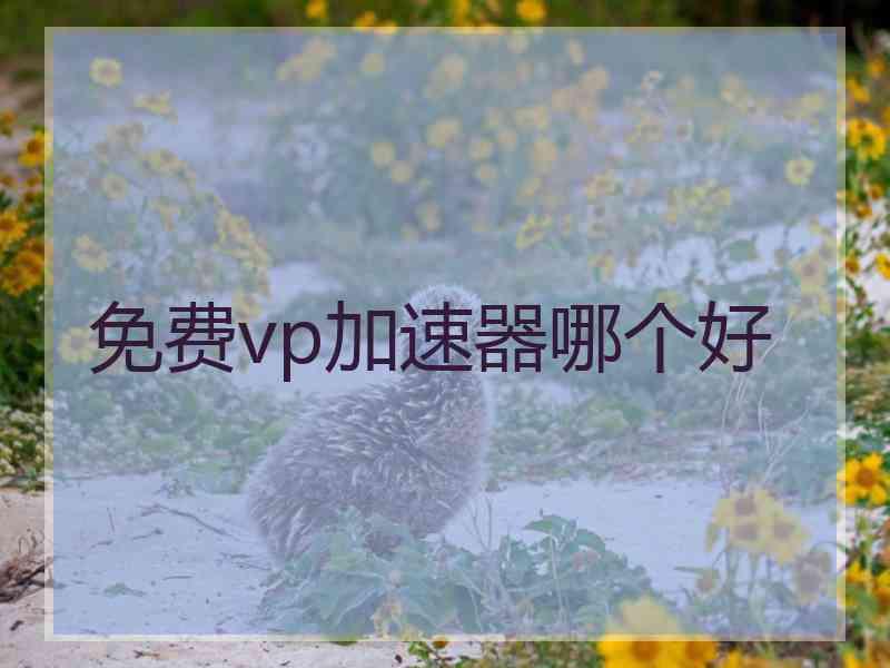 免费vp加速器哪个好