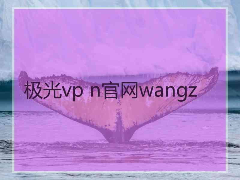 极光vp n官网wangz