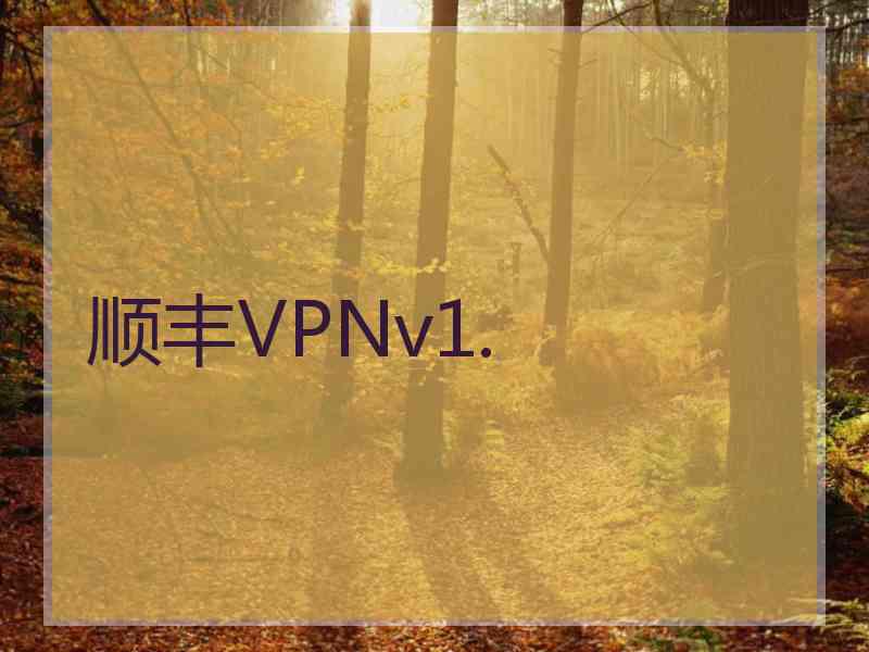 顺丰VPNv1.