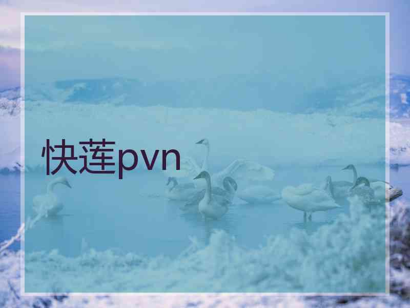 快莲pvn