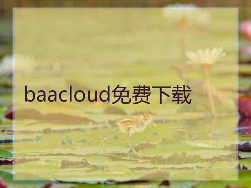 baacloud免费下载