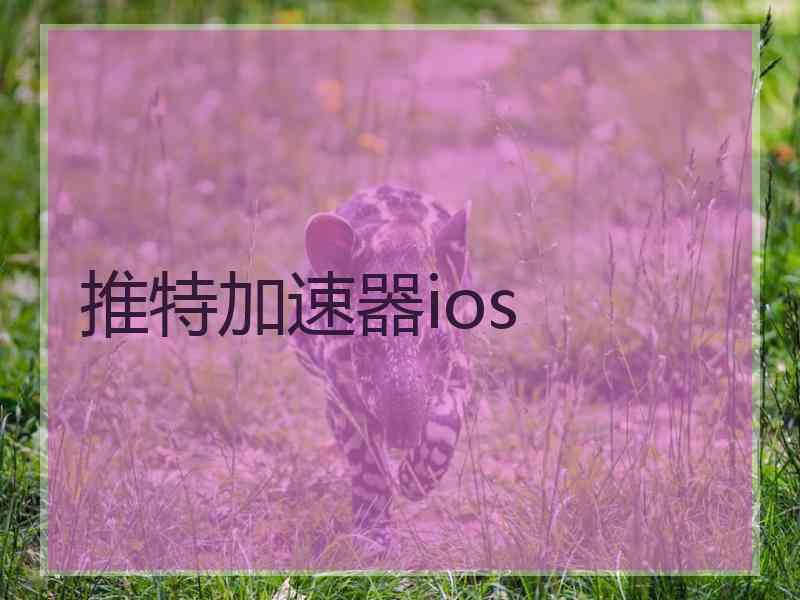 推特加速器ios