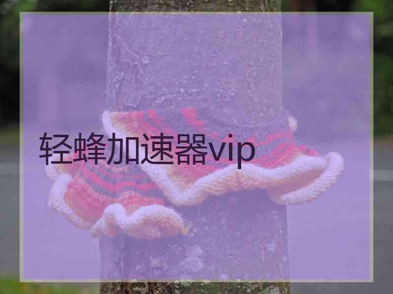 轻蜂加速器vip