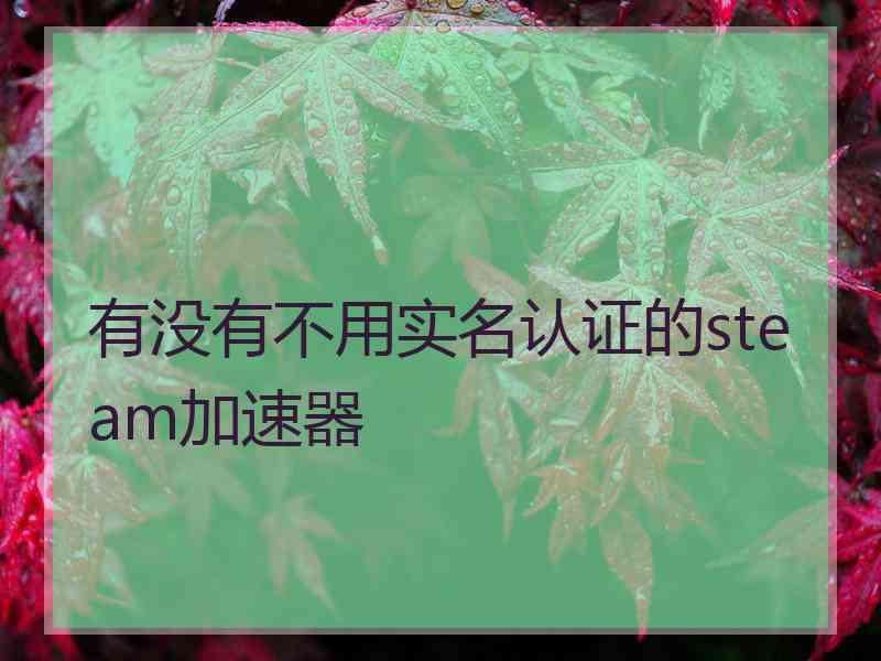 有没有不用实名认证的steam加速器