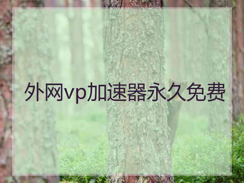 外网vp加速器永久免费