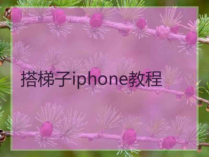 搭梯子iphone教程