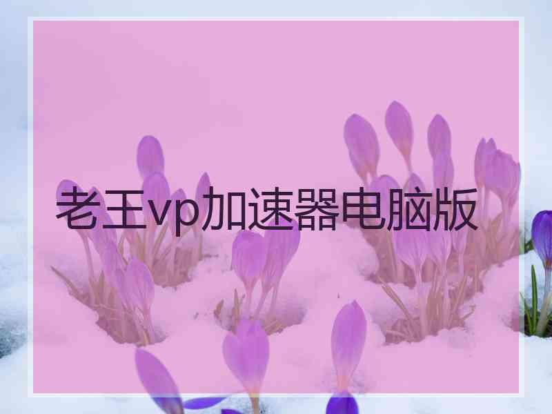 老王vp加速器电脑版