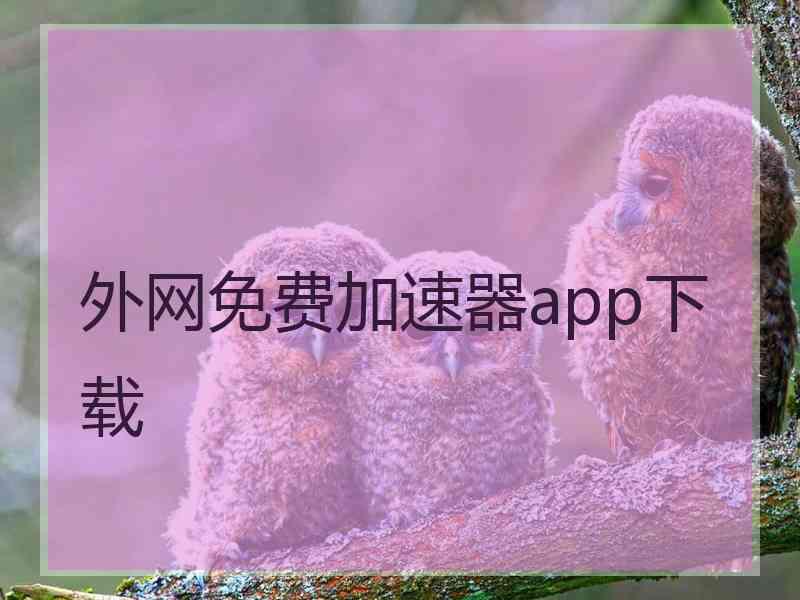 外网免费加速器app下载