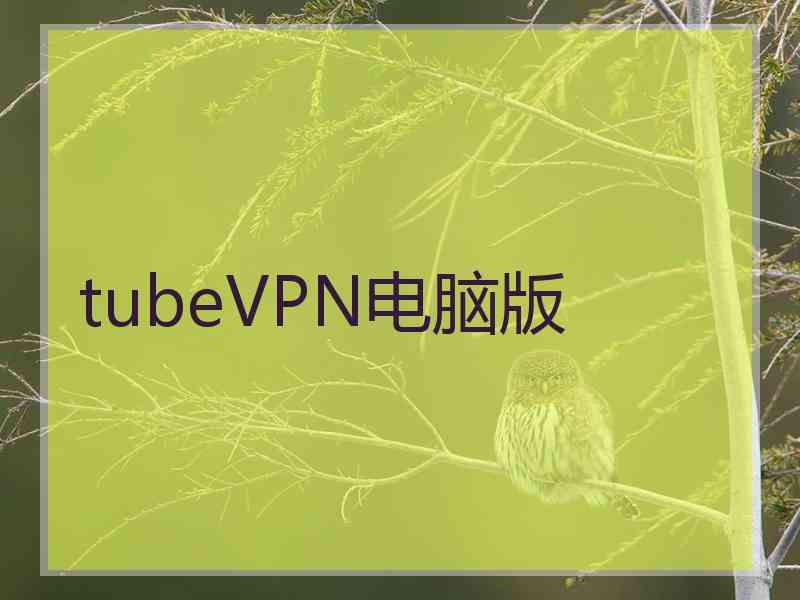 tubeVPN电脑版