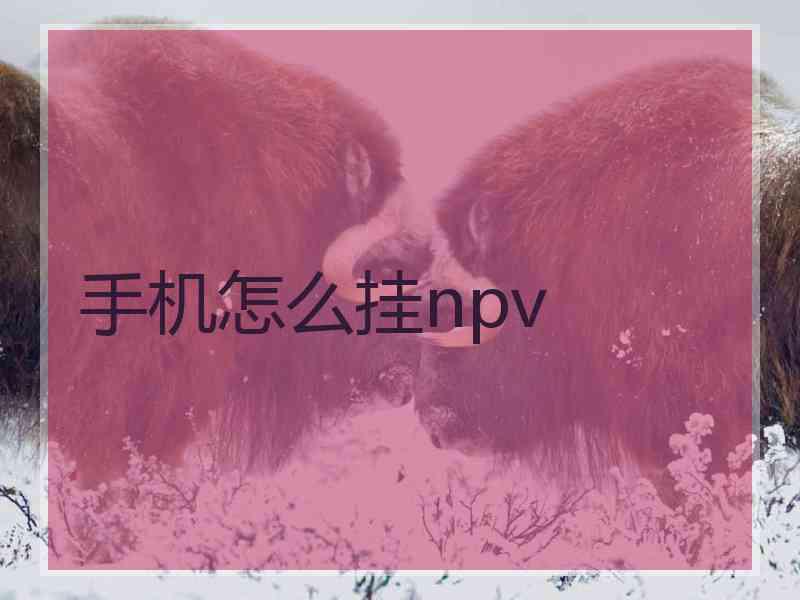 手机怎么挂npv