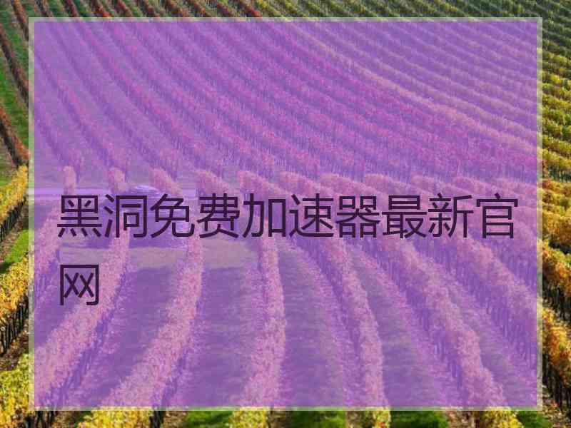 黑洞免费加速器最新官网