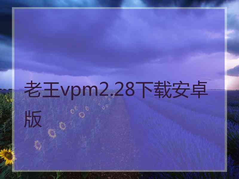 老王vpm2.28下载安卓版