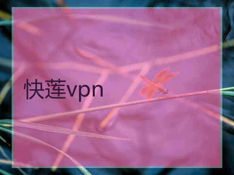 快莲vpn