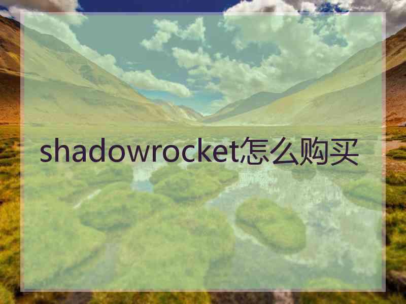 shadowrocket怎么购买