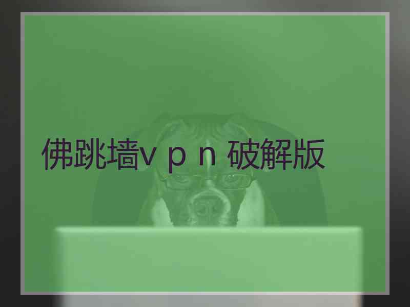 佛跳墙v p n 破解版