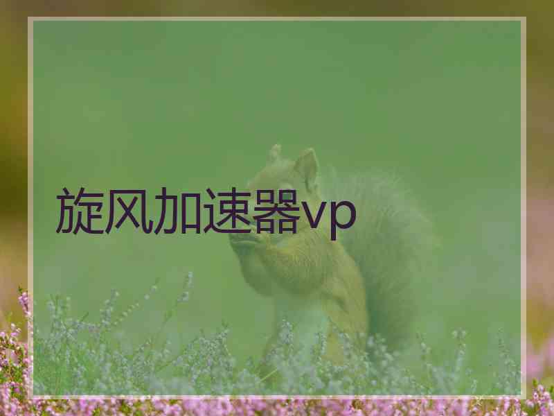 旋风加速器vp