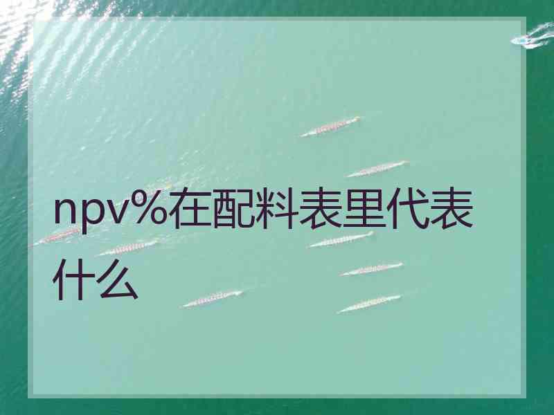 npv%在配料表里代表什么