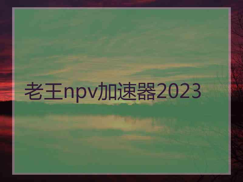 老王npv加速器2023