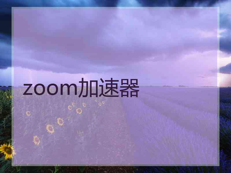 zoom加速器