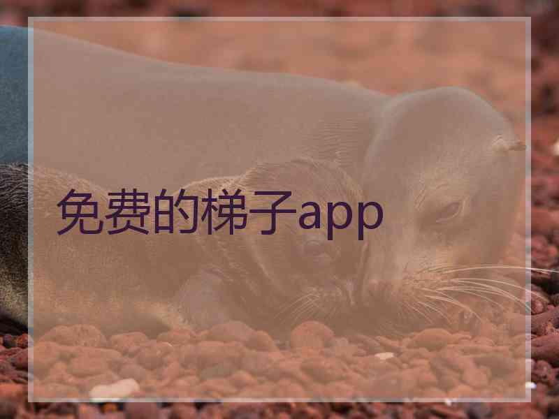 免费的梯子app