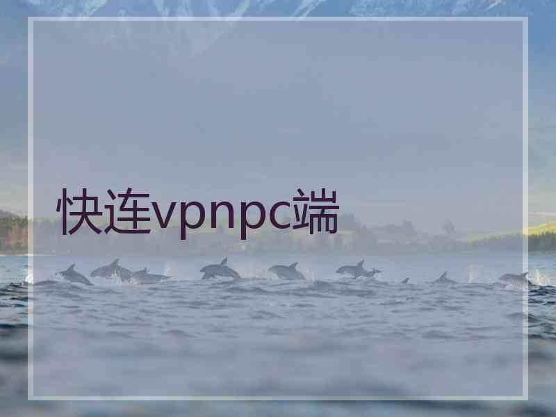 快连vpnpc端