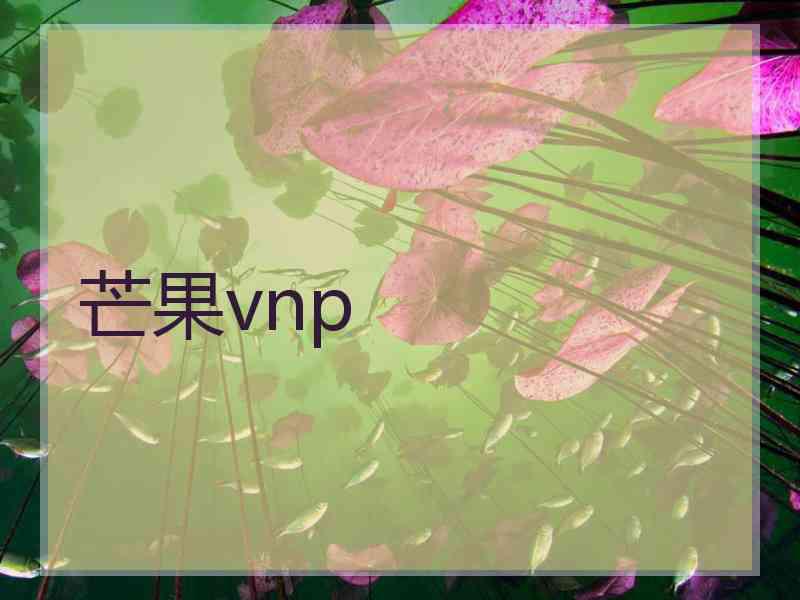 芒果vnp