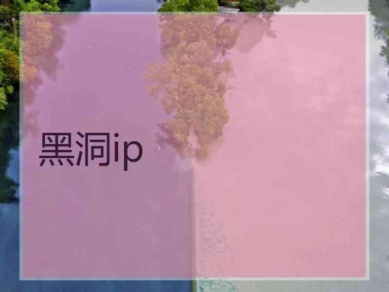 黑洞ip