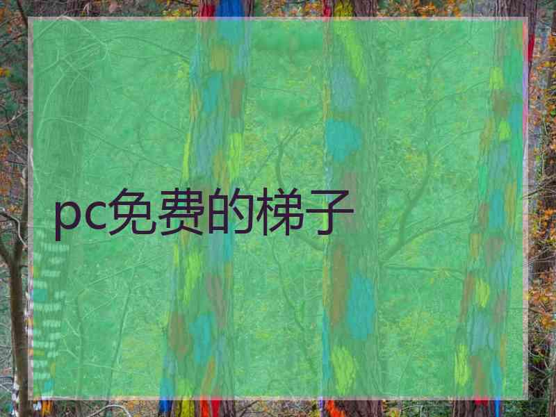 pc免费的梯子