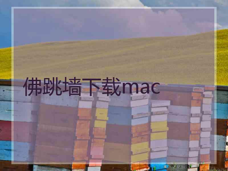 佛跳墙下载mac