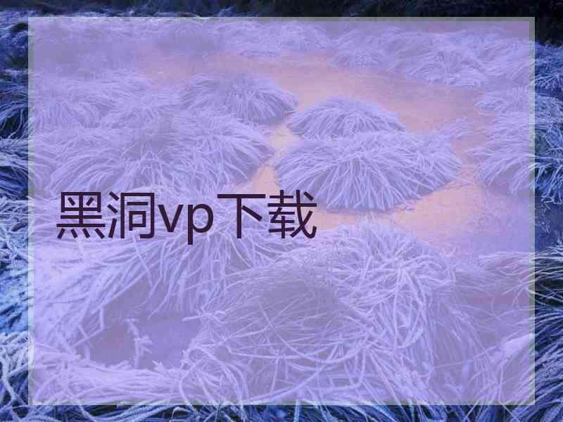 黑洞vp下载