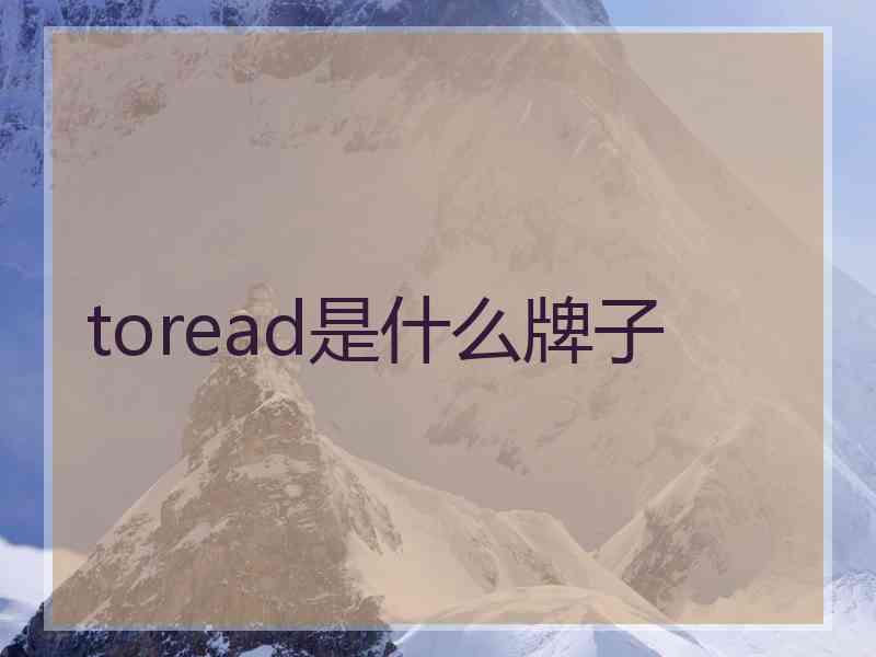 toread是什么牌子