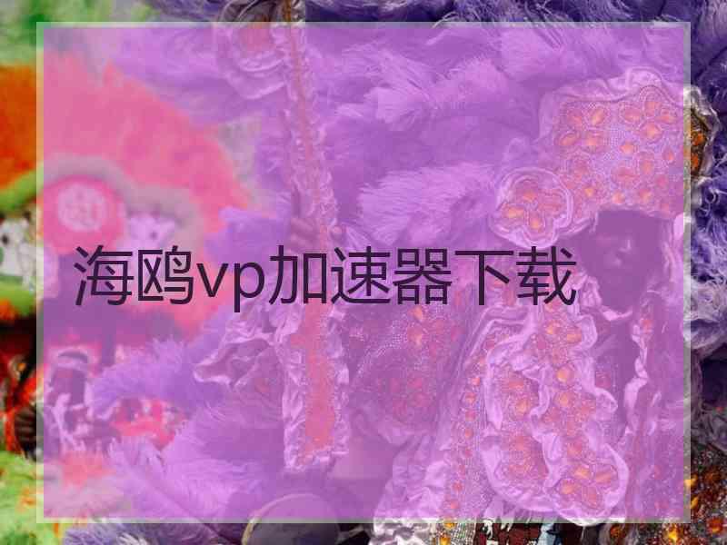 海鸥vp加速器下载