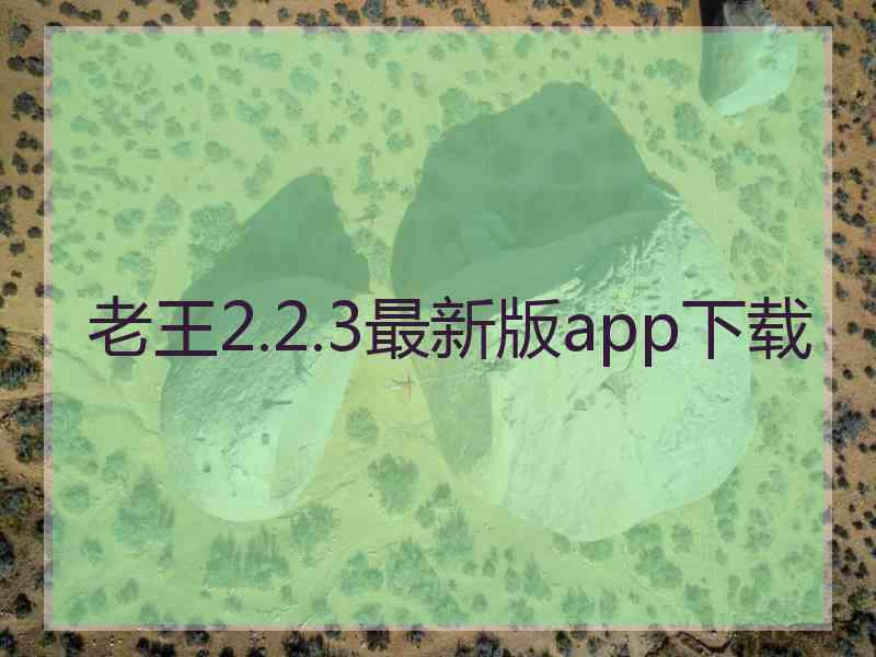 老王2.2.3最新版app下载