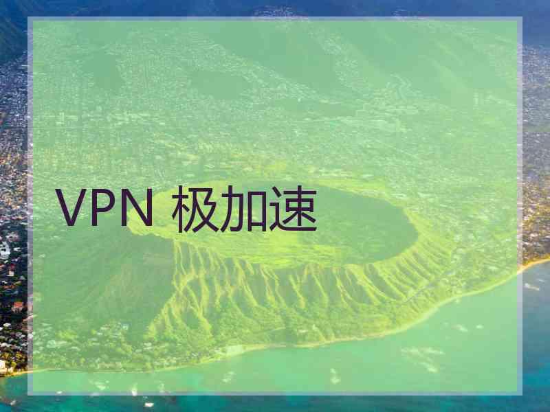 VPN 极加速