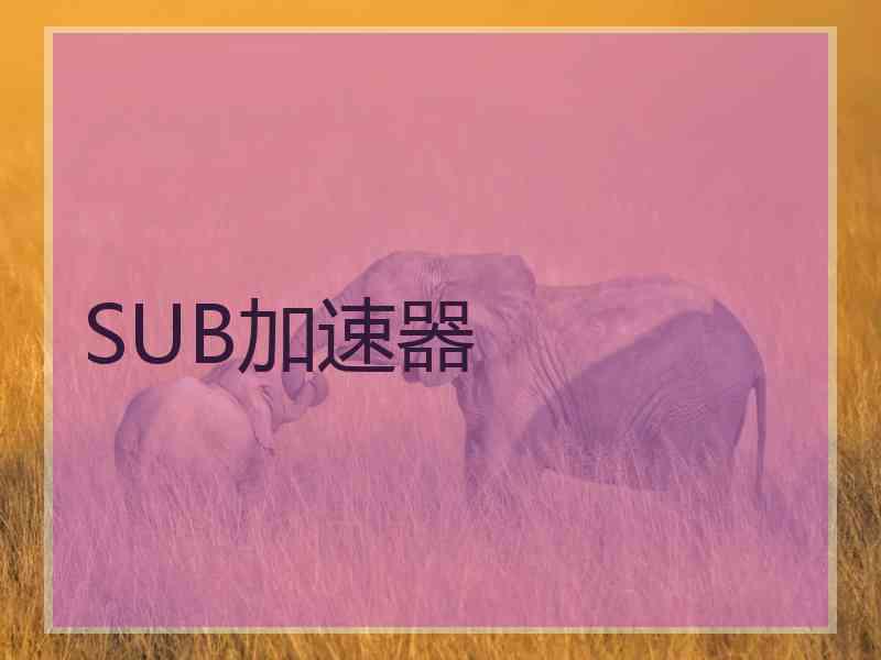 SUB加速器