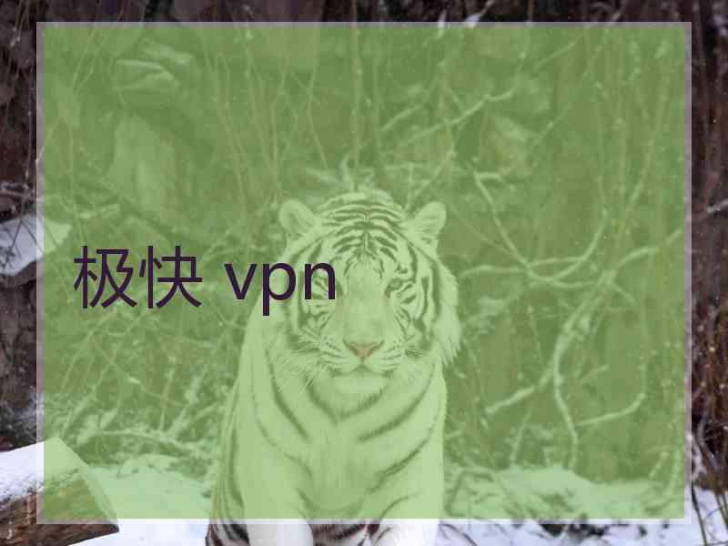 极快 vpn