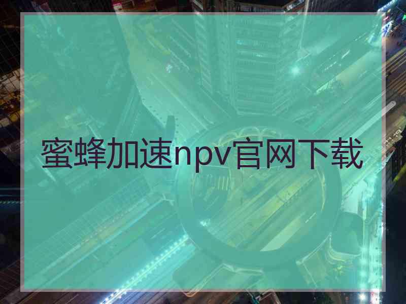 蜜蜂加速npv官网下载