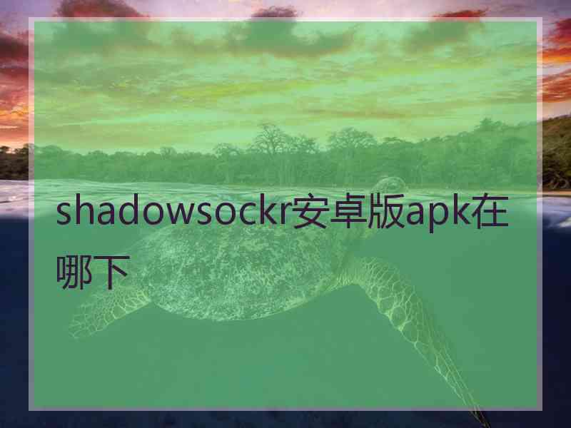 shadowsockr安卓版apk在哪下